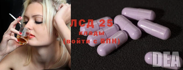 ГАЛЛЮЦИНОГЕННЫЕ ГРИБЫ Богданович