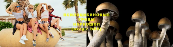 спайс Богородицк