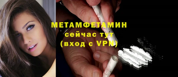 ГАЛЛЮЦИНОГЕННЫЕ ГРИБЫ Богданович