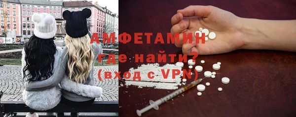 ГАЛЛЮЦИНОГЕННЫЕ ГРИБЫ Богданович