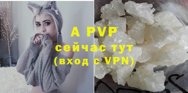 соль ск Беломорск