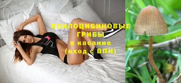 спайс Богородицк