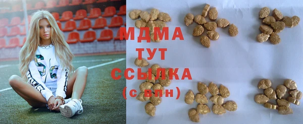 ГАЛЛЮЦИНОГЕННЫЕ ГРИБЫ Богданович